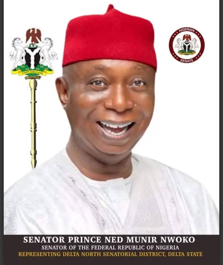 THE TRUTH ABOUT ANIOMA STATE: NED NWOKO’S POLITICAL DECEPTION EXPOSED