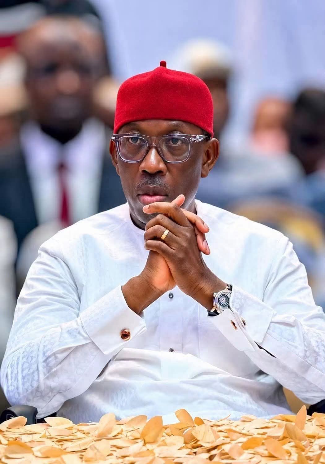 DELTA NORTH SHOULD REMAIN PDP DOMINANT SENATORIAL DISTRICT~Onyeme